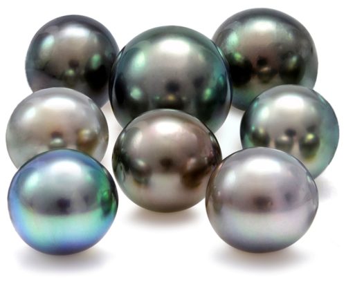 Black South Sea Pearls - Devino Pearls